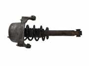 Stoßdämpfer vorne rechts PEUGEOT 407 Coupe (6C_) 2.7 HDi 647036