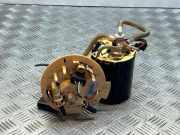 Kraftstofftankpumpe JAGUAR XF (X250) 3.0 D AJ133X250