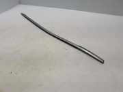 Türfensterleiste hinten links