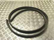 Türdichtung Fiat Doblo Van (263)