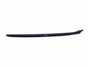 Zierleiste Windschutzscheibe Frontscheibe BMW 3 (F30, F80) 320 d Efficient Dynamics 22339910