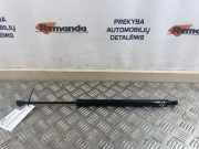 Gasfeder für Motorhaube Renault Modus - Grand Modus (P) 7000210519B0