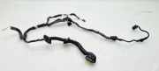 Kabel Tür Renault Scenic III (JZ) 241275076R