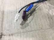 Antenne Dach Renault Grand Scenic III (JZ)