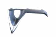 Blende Nebelscheinwerfer Lexus RX 4 (L2)