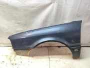 Kotflügel vorne links