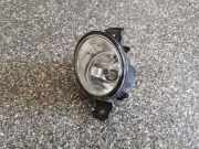 Nebelscheinwerfer vorne rechts BMW X5 (E70) 3.0 d 6317718431803