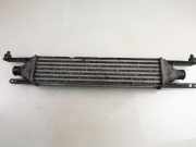 Ladeluftkühler Fiat Grande Punto (199) 866450200