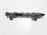 Einspritzleiste Opel Zafira Tourer C (P12) 0445214221