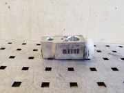 A/C Conditioner Expansion Valve SUZUKI GRAND VITARA II (JT, TE, TD) 1.9 DDiS 4WD (TD44, JT419, JB419WD)