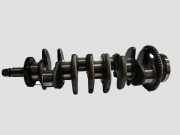 Kurbelwelle CHEVROLET CAPTIVA (C100, C140) 2.0 D