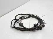 Kabelbaum Vorderen Parksensoren MERCEDES-BENZ C (W206) C 300 d (206.006) 2096198100