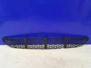 Gitter vorne unten MERCEDES-BENZ E (W211) E 220 CDI (211.006) Front Lower Grill