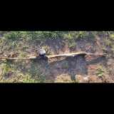 Lenksäule NISSAN MICRA III (K12) 1.5 dCi