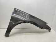 Kotflügel vorne rechts RENAULT LAGUNA III (BT0/1) 2.0 dCi (BT08, BT0K, BT0J, BT14, BT1A, BT1D) NV676