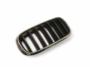 Vorderer oberer Gitter BMW X5 (F15, F85) xDrive 35 i 7316076
