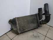 Kühler Citroen Jumper I Kasten (244) 001307012080