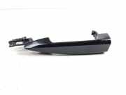 Türaußengriff links BMW X5 (F15, F85) xDrive 30 d 7991409 229172093
