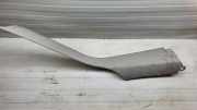 C-Säulenverkleidung hinten links MERCEDES-BENZ M (W164) ML 320 CDI 4-matic (164.122) A1646902325