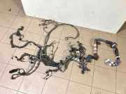 Motor Kabelbaum TOYOTA LAND CRUISER (_J15_) 2.8 D-4D (GDJ150_, GDJ155_) 10B03200319 821216AP31