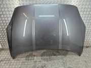 Motorhaube JAGUAR F-PACE (X761) 2.0 D EPACE