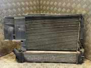 Armaturenbrett RENAULT KANGOO (KC0/1_) 1.5 dCi 5020463