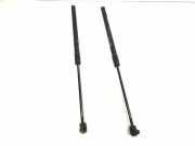 Heckklappe Gasdruckfeder links MERCEDES-BENZ A (W169) A 160 (169.031, 169.331) Q5A1697400345