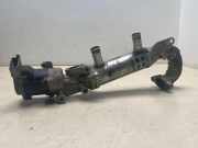 AGR-Kühler PEUGEOT 407 (6D_) 2.7 HDi 876398F 3159917464