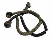 Klopfsensor VOLVO XC70 II T5 AWD 0261231142
