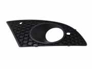 Gitter vorne unten SEAT LEON (1P1) 2.0 TDI 16V 1P0853666A