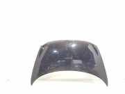 Motorhaube Fiat Multipla (186)