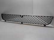 Kühlergrill unten Ford Transit Connect V408 Kasten ()