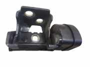 Türscharnier hinten rechts Citroen C5 III (RD)