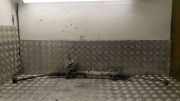 Lenksäule OPEL ASTRA H (L48) 1.6 7831985148