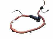 Kabelbaum Nissan Leaf (ZE0) 296B13NF0A