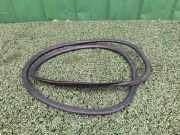 Türgummi links vorne Opel Movano B Kasten (X62) 93168082