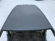 Dach VW GOLF VIII (CD1) 1.0 TSI