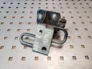 Türscharnier hinten rechts Seat Cordoba (6L) 6L4833412