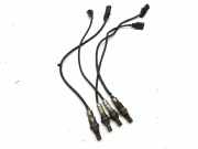 Sauerstoffsensor (Lambdasensor)