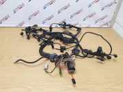 Motor Kabelbaum BMW X1 (E84) xDrive 20 d 7812745 7802164