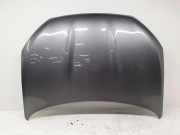 Motorhaube NISSAN QASHQAI / QASHQAI +2 I (J10, JJ10) 1.6 dCi 4WD