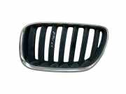 Gitter Grill vorne links BMW X5 (E53) 3.0 d 10627110