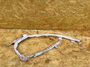 SRS Modul Dach links AUDI Q4 SUV (F4B) 50 e-tron quattro 89A880741F