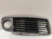 Gitter vorne unten AUDI A6 Avant (4B5, C5) 2.5 TDI quattro AD99013RH