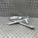 SRS Modul Dach links BMW X1 (F48) sDrive 20 i 7352601