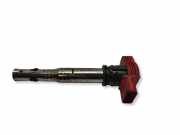 Zündspule AUDI A6 (4F2, C6) 3.2 FSI quattro 06E905115E