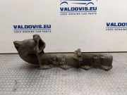 Ansaugbrücke RENAULT MASTER III Furgon (FV) 2.3 dCi 180 FWD (FV04) F071314