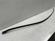 Dachleiste links MERCEDES-BENZ C Coupe (C205) C 220 d (205.304)