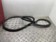 Türgummi links vorne Audi A4 (8W, B9) 8W0831721