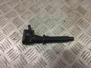 Zündspule Land Rover Range Rover IV (L405) DX2312A366AC